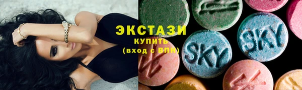 гидра Богородск
