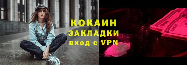 гидра Богородск