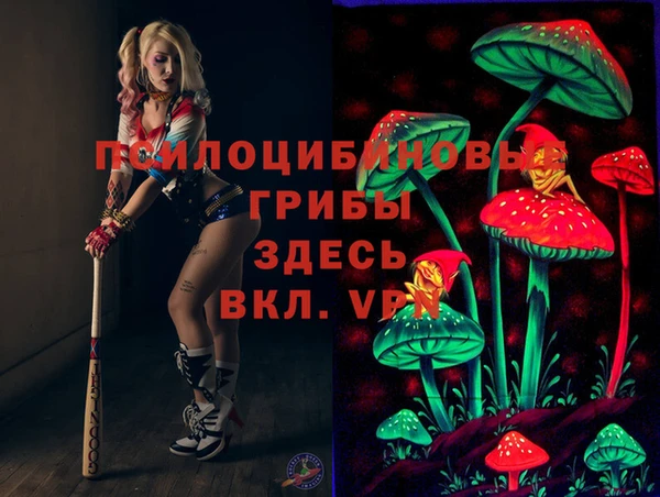 гашиш Богданович