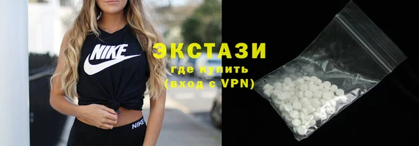 гидра Богородск