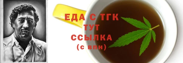 гидра Богородск