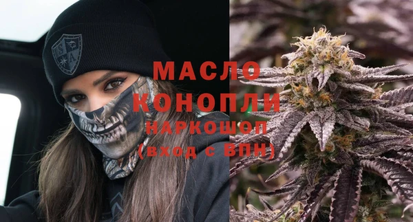 гидра Богородск