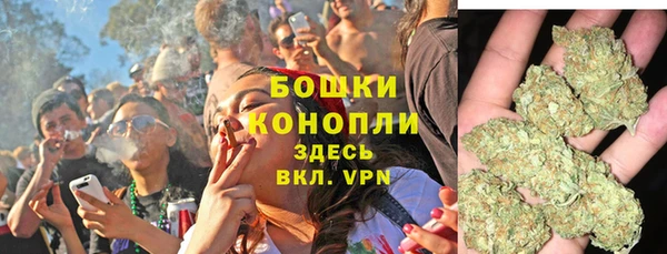 гашиш Богданович