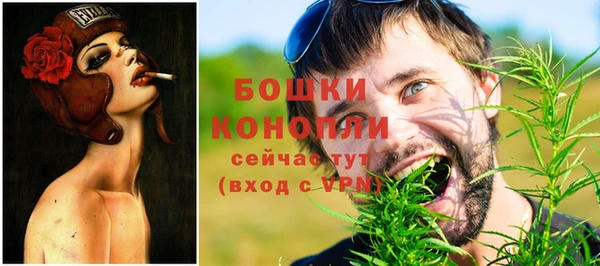2c-b Богородицк