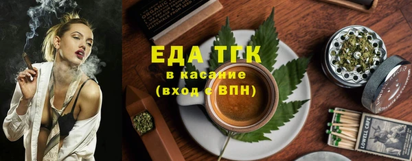 гидра Богородск