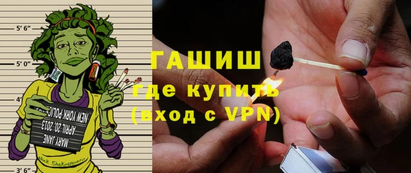гидра Богородск