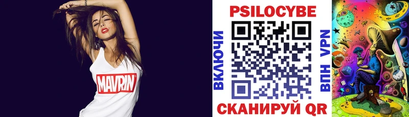 Галлюциногенные грибы Psilocybe  Кызыл 